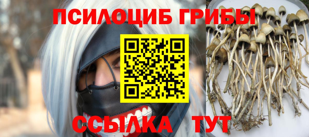 Псилоцибиновые грибы GOLDEN TEACHER Туймазы